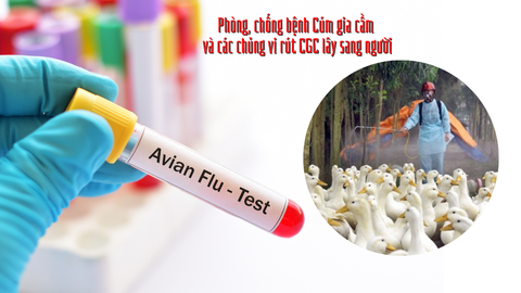Bé gái nhiễm cúm A (H5): Gia đình từng tự giết mổ gia cầm ốm để ăn - Ảnh 1. Bé gái nhiễm cúm A (H5): Gia đình từng tự giết mổ gia cầm ốm để ăn - Ảnh 1.