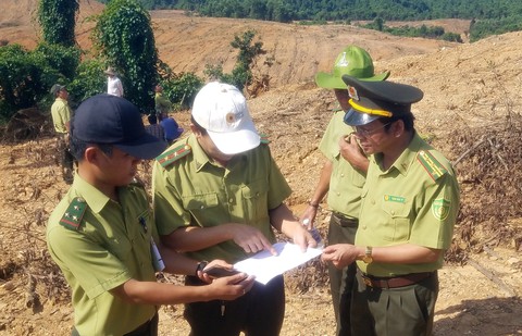 Chi cục trưởng Chi cục Kiểm lâm Quảng Trị bị cách chức, xuống làm nhân viên - Ảnh 1. Chi cục trưởng Chi cục Kiểm lâm Quảng Trị bị cách chức, xuống làm nhân viên - Ảnh 1.