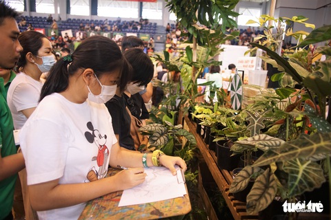 Cuộc triển lãm kỳ lạ ở TP.HCM: Toàn lá là lá - Ảnh 1. Cuộc triển lãm kỳ lạ ở TP.HCM: Toàn lá là lá - Ảnh 1.