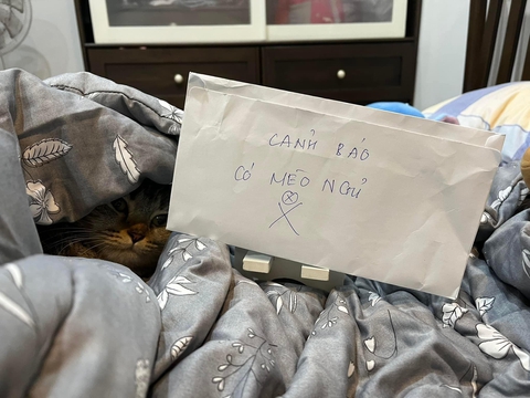 Ảnh vui 23-10: Nếu nghĩ về iPhone đau đầu quá thì có... nhà thuốc kế bên! - Ảnh 4. Ảnh vui 23-10: Nếu nghĩ về iPhone đau đầu quá thì có... nhà thuốc kế bên! - Ảnh 4.