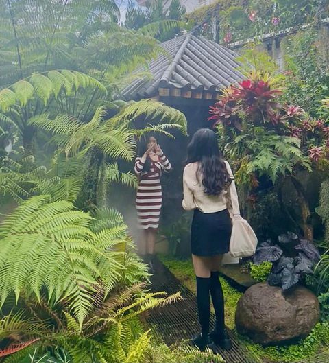 Lọ Lem nhà MC Quyền Linh ra dáng thiếu nữ xinh đẹp, nóng bỏng - Ảnh 5. Lọ Lem nhà MC Quyền Linh ra dáng thiếu nữ xinh đẹp, nóng bỏng - Ảnh 5.