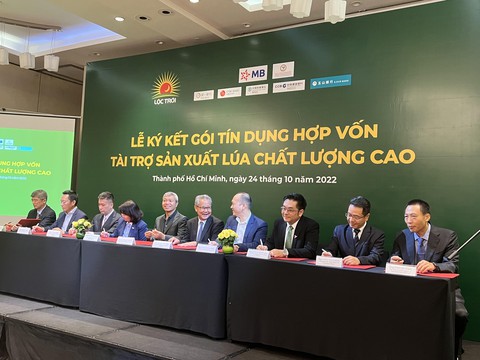 7 ngân hàng hợp vốn cho vay 100 triệu USD để sản xuất lúa chất lượng cao - Ảnh 1. 7 ngân hàng hợp vốn cho vay 100 triệu USD để sản xuất lúa chất lượng cao - Ảnh 1.