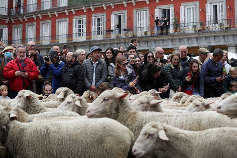 2022-10-23T192319Z_116952671_RC2Y6X9LLHN2_RTRMADP_3_SPAIN-ANIMALS 2022-10-23T192319Z_116952671_RC2Y6X9LLHN2_RTRMADP_3_SPAIN-ANIMALS