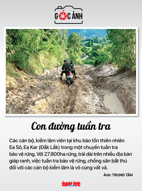 Tin sáng 26-10: Show ô tô khai mạc; Nhiễm độc chì tại Việt Nam đáng báo động - Ảnh 10. Tin sáng 26-10: Show ô tô khai mạc; Nhiễm độc chì tại Việt Nam đáng báo động - Ảnh 10.