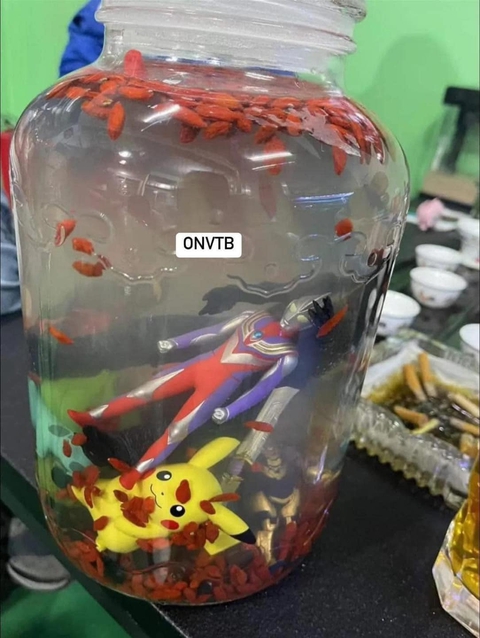 Ảnh vui 25-10: Con trai cưng ngâm Pokemon, siêu nhân vào rượu cho bố - Ảnh 1. Ảnh vui 25-10: Con trai cưng ngâm Pokemon, siêu nhân vào rượu cho bố - Ảnh 1.