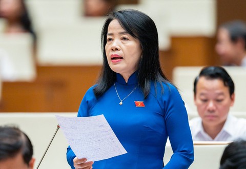 Đại biểu Quốc hội: Kết luận thanh tra chậm ban hành 1-6 năm, ai chịu trách nhiệm? - Ảnh 1. Đại biểu Quốc hội: Kết luận thanh tra chậm ban hành 1-6 năm, ai chịu trách nhiệm? - Ảnh 1.
