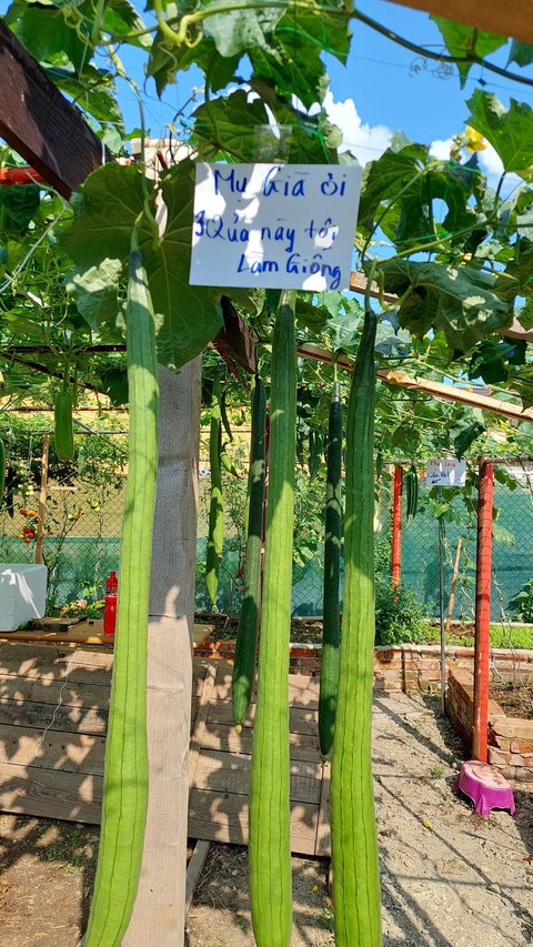 Những biển cảnh báo trộm có 1-0-2 - Ảnh 4. Những biển cảnh báo trộm có 1-0-2 - Ảnh 4.