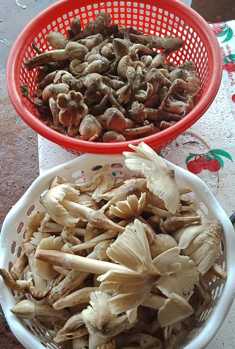 Tết đổ bánh xèo - Ảnh 6. Tết đổ bánh xèo - Ảnh 6.