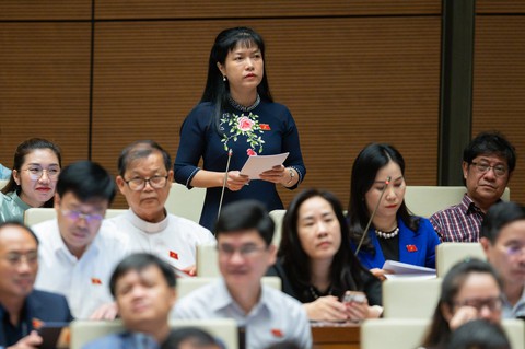 Đại biểu hỏi xăng dầu thiếu thật hay thiếu giả?, bộ trưởng nói thiếu hàng cục bộ là bất thường - Ảnh 1. Đại biểu hỏi xăng dầu thiếu thật hay thiếu giả?, bộ trưởng nói thiếu hàng cục bộ là bất thường - Ảnh 1.