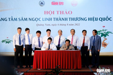 Sâm Ngọc Linh - một báu vật của người Việt - Ảnh 3. Sâm Ngọc Linh - một báu vật của người Việt - Ảnh 3.