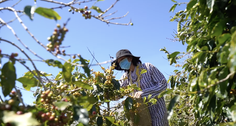 HHen Niê khóc nức nở khi đọc sách để đóng phim về bệnh nhân ung thư - Ảnh 5. HHen Niê khóc nức nở khi đọc sách để đóng phim về bệnh nhân ung thư - Ảnh 5.