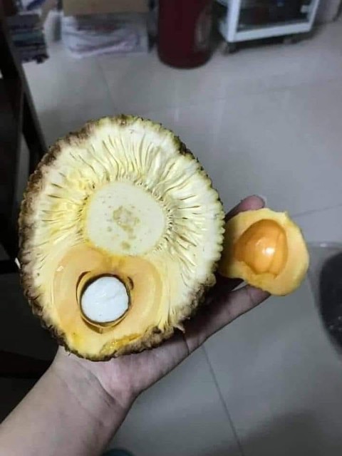 Ảnh vui 30-10: Chú heo buồn ngang khi bị chủ làm... rớt giữa đường - Ảnh 4. Ảnh vui 30-10: Chú heo buồn ngang khi bị chủ làm... rớt giữa đường - Ảnh 4.