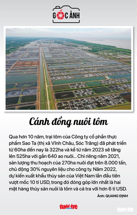 Tin sáng 30-10: Khách quốc tế đến Việt Nam hơn 2,35 triệu; TP.HCM diễn tập cứu hộ nhà cao tầng - Ảnh 4. Tin sáng 30-10: Khách quốc tế đến Việt Nam hơn 2,35 triệu; TP.HCM diễn tập cứu hộ nhà cao tầng - Ảnh 4.