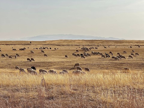 Theo chân du khách Việt ngắm thu vàng trên con đường tơ lụa từ Kazakhstan đến Kyrgyzstan - Ảnh 16. Theo chân du khách Việt ngắm thu vàng trên con đường tơ lụa từ Kazakhstan đến Kyrgyzstan - Ảnh 16.