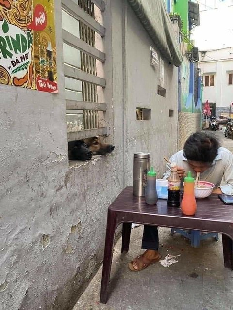 Ảnh vui 31-10: Ăn phở thì nhớ cho tương ớt vô mới ngon, anh trai! - Ảnh 1. Ảnh vui 31-10: Ăn phở thì nhớ cho tương ớt vô mới ngon, anh trai! - Ảnh 1.