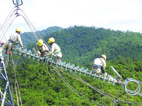 Văn hóa doanh nghiệp - nền tảng để chuyển đổi số thành công - Ảnh 2. Văn hóa doanh nghiệp - nền tảng để chuyển đổi số thành công - Ảnh 2.