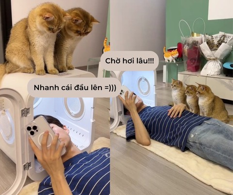 Ảnh vui 6-10: Chú rể căng não vượt qua bài IELTS Listening mới được rước dâu - Ảnh 4. Ảnh vui 6-10: Chú rể căng não vượt qua bài IELTS Listening mới được rước dâu - Ảnh 4.