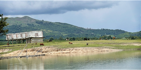 Đắk Lắk nói khó xử lý trang trại của nguyên bí thư tỉnh ủy giữa khu bảo tồn thiên nhiên - Ảnh 2. Đắk Lắk nói khó xử lý trang trại của nguyên bí thư tỉnh ủy giữa khu bảo tồn thiên nhiên - Ảnh 2.