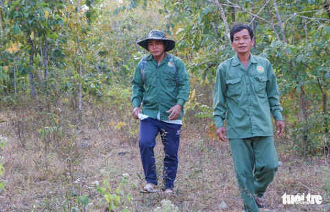 Tổ bảo vệ rừng cộng đồng xã Phước Hà được nhận tiền hỗ trợ bảo vệ rừng - Ảnh 1. Tổ bảo vệ rừng cộng đồng xã Phước Hà được nhận tiền hỗ trợ bảo vệ rừng - Ảnh 1.