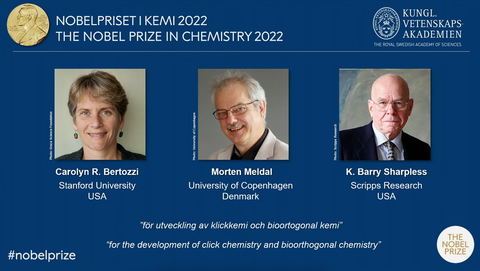 Nobel Hóa học 2022 được trao cho ba nhà khoa học gắn kết các phân tử lại với nhau’ - Ảnh 1. Nobel Hóa học 2022 được trao cho ba nhà khoa học gắn kết các phân tử lại với nhau’ - Ảnh 1.