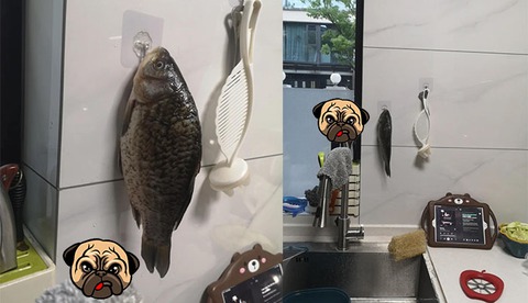 Ảnh vui 7-10: Ngọt ngào đến mấy cũng... ra chuồng heo - Ảnh 5. Ảnh vui 7-10: Ngọt ngào đến mấy cũng... ra chuồng heo - Ảnh 5.