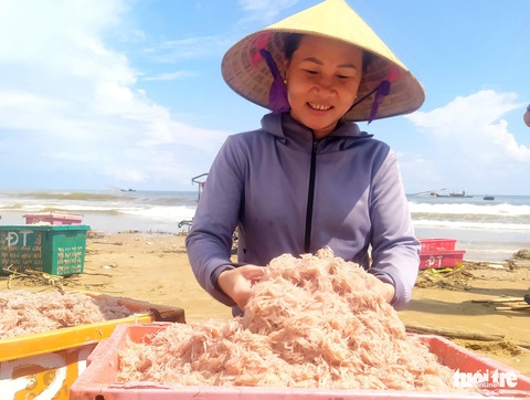 Trúng đậm tép biển, người dân thu nhập tiền triệu mỗi ngày - Ảnh 2. Trúng đậm tép biển, người dân thu nhập tiền triệu mỗi ngày - Ảnh 2.