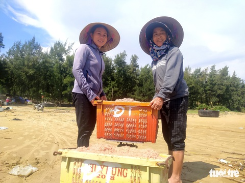 Trúng đậm tép biển, người dân thu nhập tiền triệu mỗi ngày - Ảnh 4. Trúng đậm tép biển, người dân thu nhập tiền triệu mỗi ngày - Ảnh 4.
