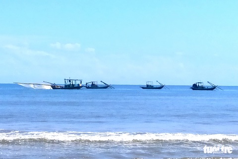 Trúng đậm tép biển, người dân thu nhập tiền triệu mỗi ngày - Ảnh 1. Trúng đậm tép biển, người dân thu nhập tiền triệu mỗi ngày - Ảnh 1.