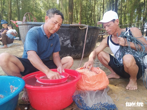 Trúng đậm tép biển, người dân thu nhập tiền triệu mỗi ngày - Ảnh 6. Trúng đậm tép biển, người dân thu nhập tiền triệu mỗi ngày - Ảnh 6.