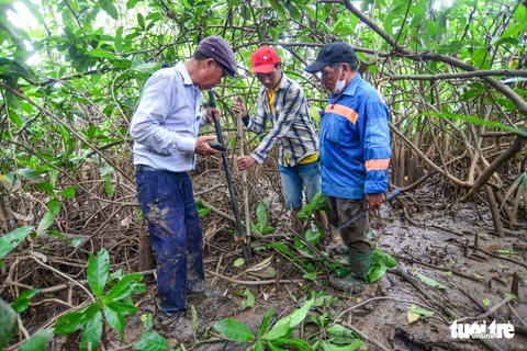 Lội bùn, băng rạch cắm cọc đường vành đai 3 TP.HCM - Ảnh 2. Lội bùn, băng rạch cắm cọc đường vành đai 3 TP.HCM - Ảnh 2.
