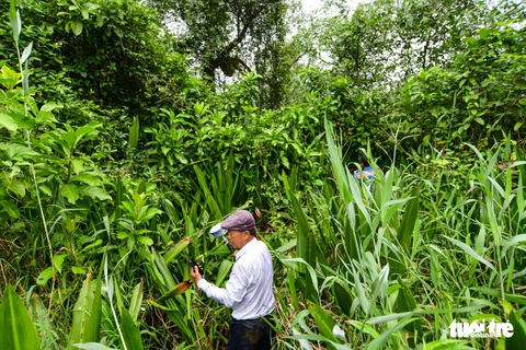 Lội bùn, băng rạch cắm cọc đường vành đai 3 TP.HCM - Ảnh 3. Lội bùn, băng rạch cắm cọc đường vành đai 3 TP.HCM - Ảnh 3.