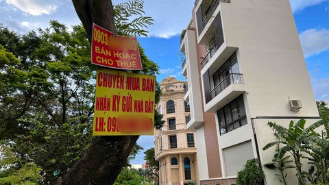 Người trẻ xài tiền - Kỳ 3: Tiền vỗ cánh bay đi theo mộng đổi đời - Ảnh 2. Người trẻ xài tiền - Kỳ 3: Tiền vỗ cánh bay đi theo mộng đổi đời - Ảnh 2.