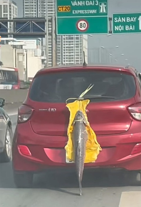 Ảnh vui 9-10: Đẻ con gái cho thùy mị nết na phiên bản khóc thét - Ảnh 4. Ảnh vui 9-10: Đẻ con gái cho thùy mị nết na phiên bản khóc thét - Ảnh 4.