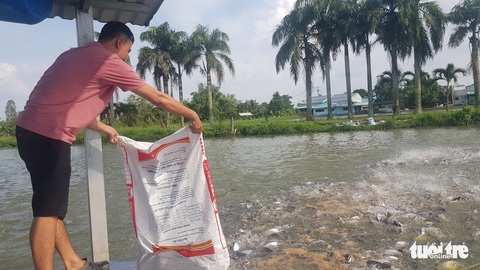 Thủ phủ cá tra miền Tây báo động thiếu cá giống - Ảnh 1. Thủ phủ cá tra miền Tây báo động thiếu cá giống - Ảnh 1.