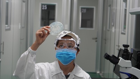 Công ty Việt Nam hợp tác quốc tế nghiên cứu thành công giải pháp giúp giảm triệu chứng nhiễm cúm A - Ảnh 2. Công ty Việt Nam hợp tác quốc tế nghiên cứu thành công giải pháp giúp giảm triệu chứng nhiễm cúm A - Ảnh 2.