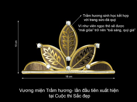 Hoa khôi Nam Bộ gây ấn tượng với vương miện trầm hương - Ảnh 2. Hoa khôi Nam Bộ gây ấn tượng với vương miện trầm hương - Ảnh 2.