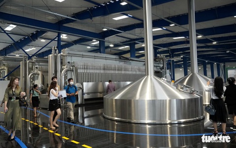 Bà Rịa - Vũng Tàu: Điểm đến của những phượng hoàng - Ảnh 5. Bà Rịa - Vũng Tàu: Điểm đến của những phượng hoàng - Ảnh 5.