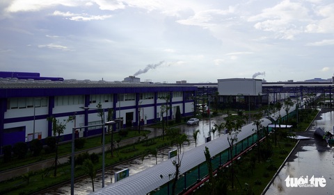 Bà Rịa - Vũng Tàu: Điểm đến của những phượng hoàng - Ảnh 2. Bà Rịa - Vũng Tàu: Điểm đến của những phượng hoàng - Ảnh 2.