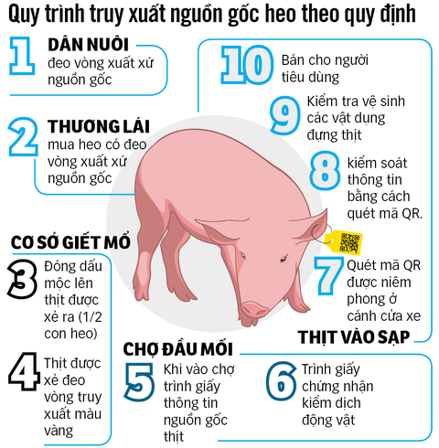 Thịt heo không an toàn vẫn lọt vào chợ - Ảnh 2. Thịt heo không an toàn vẫn lọt vào chợ - Ảnh 2.