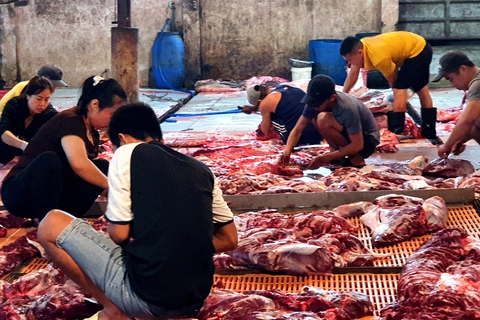 Người nuôi, thương lái truy xuất để đối phó - Ảnh 1. Người nuôi, thương lái truy xuất để đối phó - Ảnh 1.
