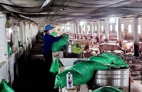 Người nuôi, thương lái truy xuất để đối phó - Ảnh 2. Người nuôi, thương lái truy xuất để đối phó - Ảnh 2.
