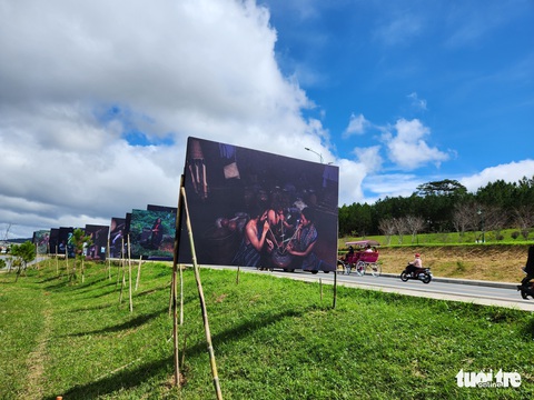 Festival hoa Đà Lạt diễn ra đến cuối năm 2022, bắt đầu ngày 11-11 - Ảnh 1. Festival hoa Đà Lạt diễn ra đến cuối năm 2022, bắt đầu ngày 11-11 - Ảnh 1.