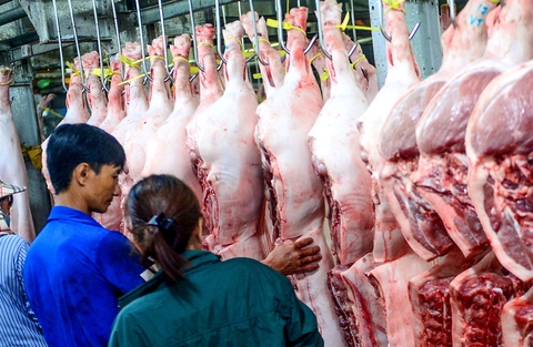 Thịt heo không an toàn vẫn lọt vào chợ - Ảnh 3. Thịt heo không an toàn vẫn lọt vào chợ - Ảnh 3.