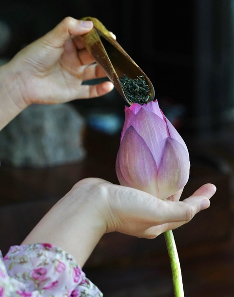 Đón Tết với trà sen xứ Huế - Ảnh 2. Đón Tết với trà sen xứ Huế - Ảnh 2.