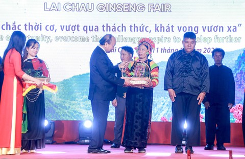 Chủ tịch nước: Sâm Lai Châu, sâm Ngọc Linh... cần xứng danh quốc bảo - Ảnh 3. Chủ tịch nước: Sâm Lai Châu, sâm Ngọc Linh... cần xứng danh quốc bảo - Ảnh 3.