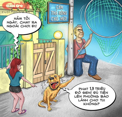 Biệt đội săn bắt chó thả rông ở TP Thủ Đức - Ảnh 1. Biệt đội săn bắt chó thả rông ở TP Thủ Đức - Ảnh 1.