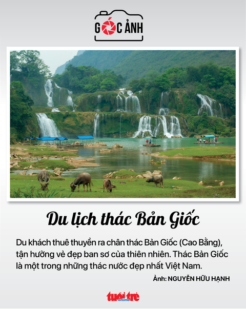 Tin sáng 13-11: Người già mắc trên ba bệnh cùng lúc; Trái cây được giá - Ảnh 11. Tin sáng 13-11: Người già mắc trên ba bệnh cùng lúc; Trái cây được giá - Ảnh 11.