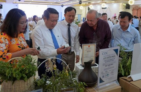 Dược liệu Cam Lộ: tín hiệu vui từ thị trường Mỹ - Ảnh 3. Dược liệu Cam Lộ: tín hiệu vui từ thị trường Mỹ - Ảnh 3.