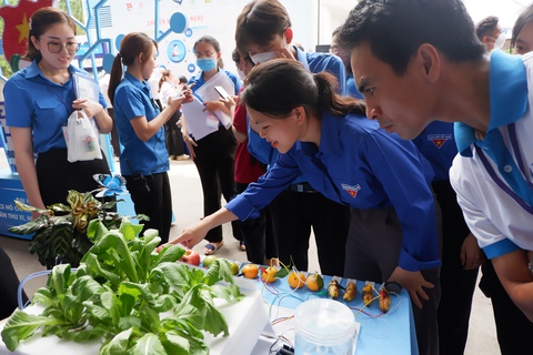 Giới thiệu mô hình, ý tưởng sáng tạo trẻ - Ảnh 3. Giới thiệu mô hình, ý tưởng sáng tạo trẻ - Ảnh 3.