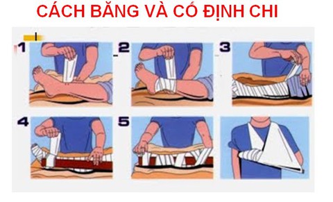 Rắn bò vào nhà cắn trẻ, chữa ra sao? - Ảnh 1. Rắn bò vào nhà cắn trẻ, chữa ra sao? - Ảnh 1.